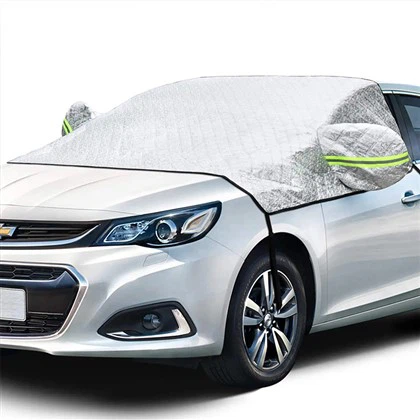 PEVA Windshield Cover